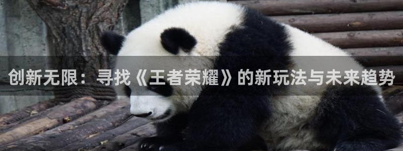 沐鸣娱乐：创新无限：寻找《王者荣耀》的新玩法与未来趋势