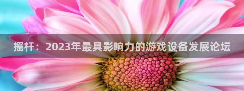 沐鸣登录网址：摇杆：2023年最具影响力的游戏设备发展论坛