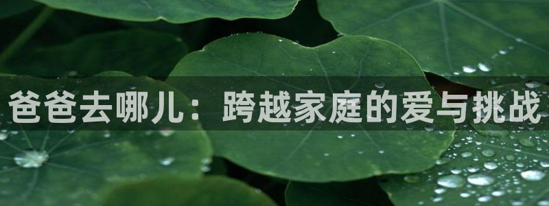 沐鸣网址官网首页：爸爸去哪儿：跨越家庭的爱与挑战