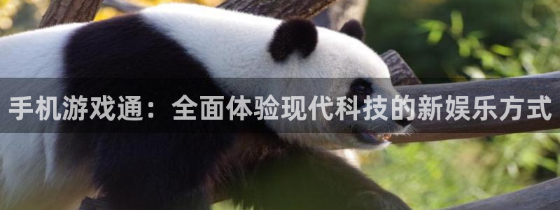 沐鸣app下载|下载地址：手机游戏通：全面体验现代科技的新娱