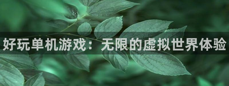沐鸣下载链接：好玩单机游戏：无限的虚拟世界体验