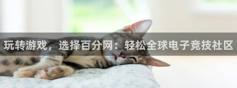 沐鸣平台登录线路：玩转游戏，选择百分网：轻松全球电子竞技社区