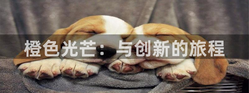 沐鸣注册登录：橙色光芒：与创新的旅程