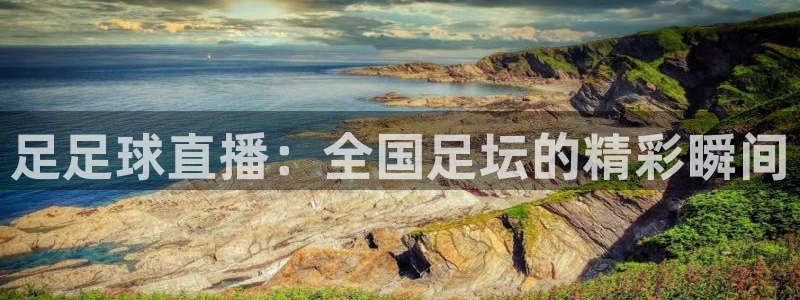 山猫体育直播在线观看免费：足足球直播：全国足坛的精彩瞬间