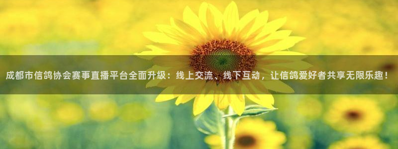 山猫直播体育赛事：成都市信鸽协会赛事直播平台全面升级：线上交流、线下互动，让信鸽爱好者共享无限乐趣！