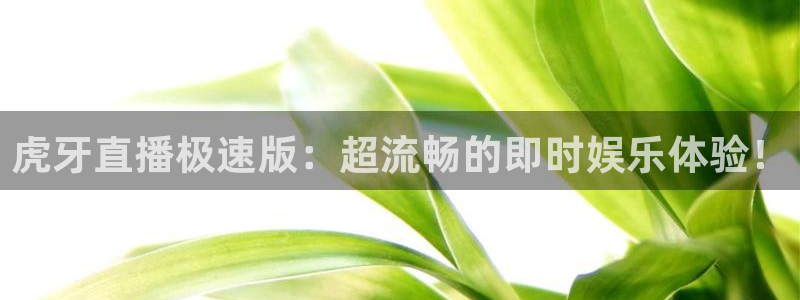 山猫直播体育赛事：虎牙直播极速版：超流畅的即时娱乐体验！