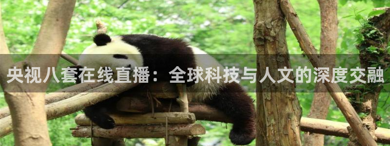 山猫体育在线直播高清：央视八套在线直播：全球科技与人文的深度交融