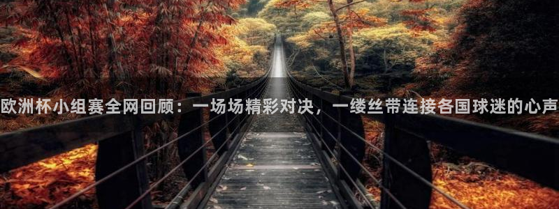 足球山猫直播：欧洲杯小组赛全网回顾：一场场精彩对决，一缕丝带连接各国球迷的心声